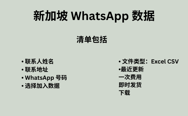 新加坡 WhatsApp 号码数据库